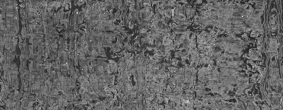 A rendered strip of papyrus from inside sealed scroll PHerc0125, winding 21. Fibre structure is visible across the surface; no ink is present.